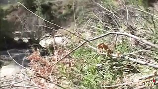 I Saw That Messy Wetback Get Screwed Real Good, All Right!