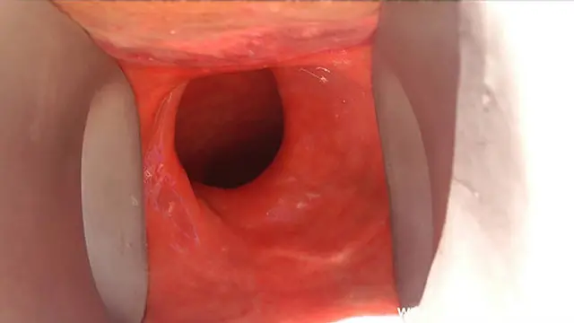 She Takes It All Up Her Bung