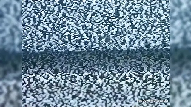 Teen ass🍑 exploded by beastly thrusts from insatiable cocks in filthy foursome