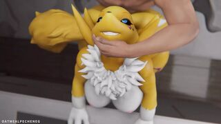 Sexy Furry Digimon Fucking - Compilation