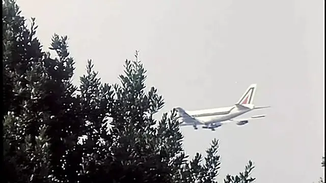 Friends gather by the pool for a wild birthday celebration filled with passion