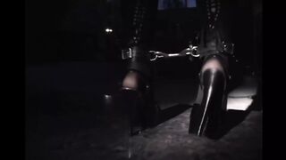 A Night of Wild Passion with Harmony Rose