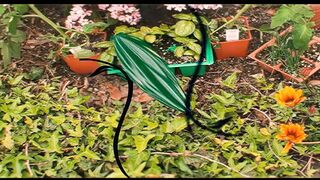 Jules Sterling Craves a Wild Garden Scene
