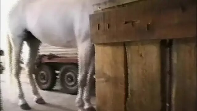 German Superstar GF gives a mind-blowing blowjob