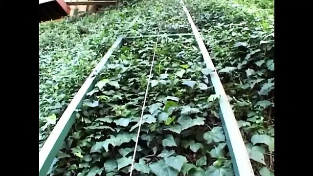 Nasty blonde girl gets intense raw anal fuck