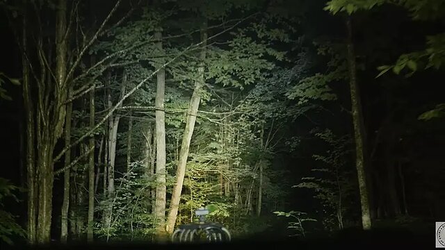 PAWG Rebel Rhyder's rough anal riding and offroading